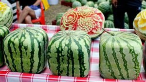 square watermelon