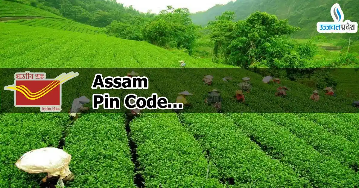 Assam Pin Code