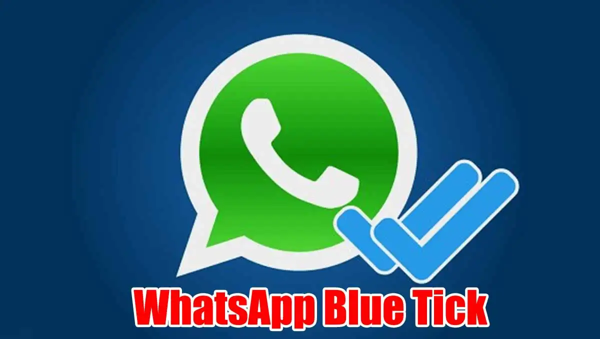 WhatsApp Blue Tick