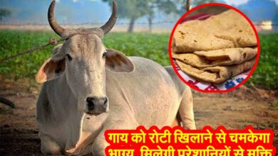 Astrology Tips for Cow