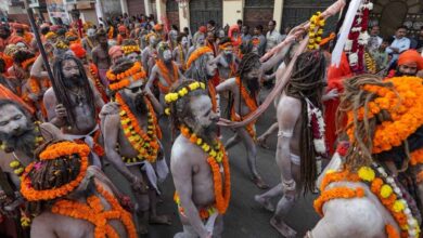 Naga Sadhu