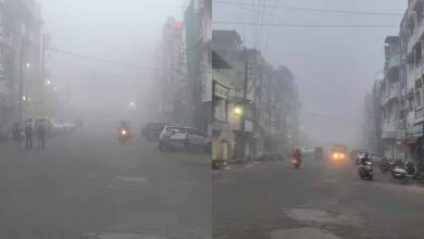 cold 1 मध्य प्रदेश में ठंड से जन जीवन अस्त व्यस्त, पारा लगातार गोते लगा रहा, राजगढ़, भोपाल और पंचमढ़ी में टूटे रिकॉर्ड