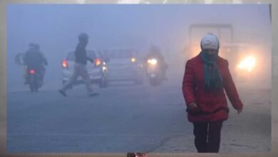 winter 14A 79 3 2 MP Weather News: MP में अचानक गिरा तापमान, पिछले तीन दिन लगातार तापमान में उछाल के बाद शुक्रवार को तेज ठंडी हवाओं ने कंपा प्रदेश